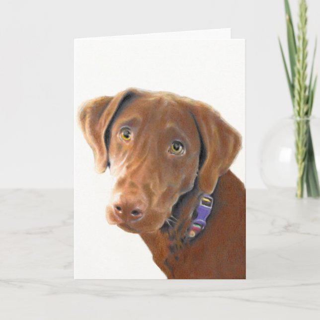 Cartão Chocolate Lab greeting card, dog card, retriever (Frente)