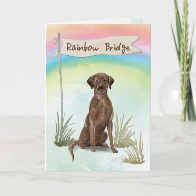Cartão Chocolate Lab Pet Sympathon Rainbow Bridge (Frente)