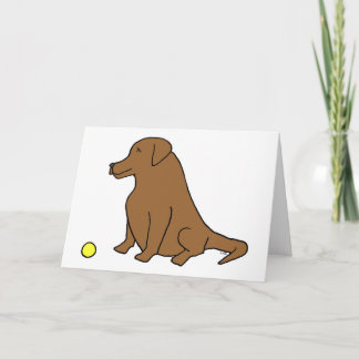 Cartão Chocolate Lab “Sit. Stay. Have A Ball.” Birthday