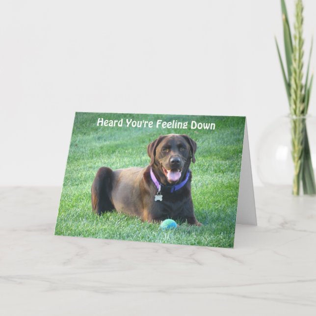Cartão Chocolate Lab Thinking Of You Card! (Frente)