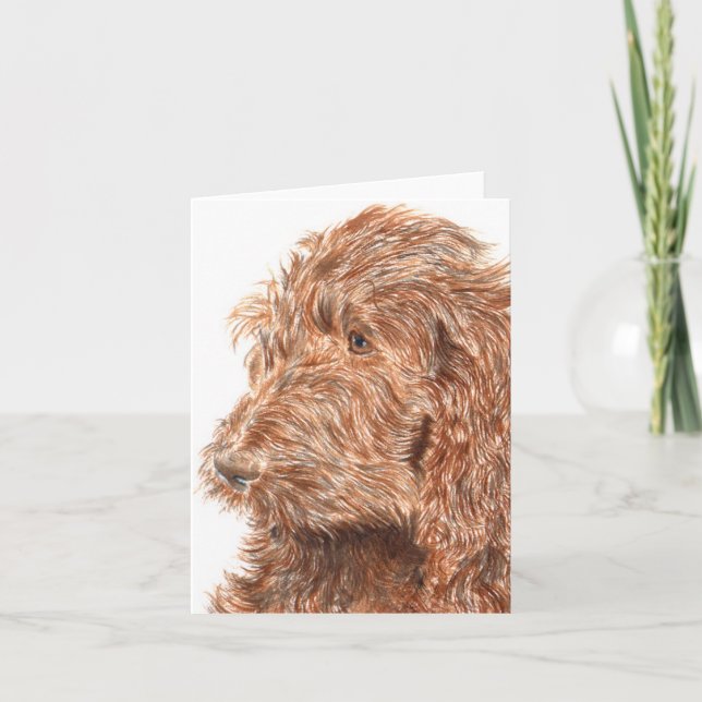 Cartão Chocolate Labradoodle #2 Notecard (Frente)