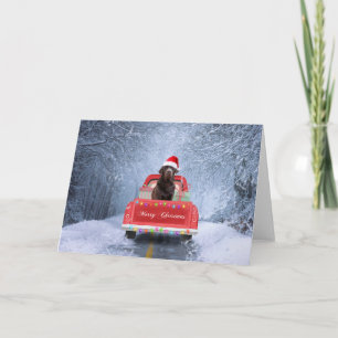 Cartão Chocolate Labrador Cachorro na neve no Natal