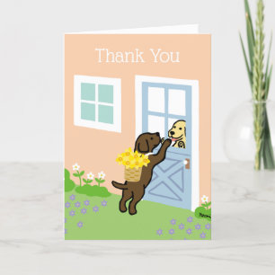 Cartão Chocolate Labrador Daffodils Primavera Obrigado