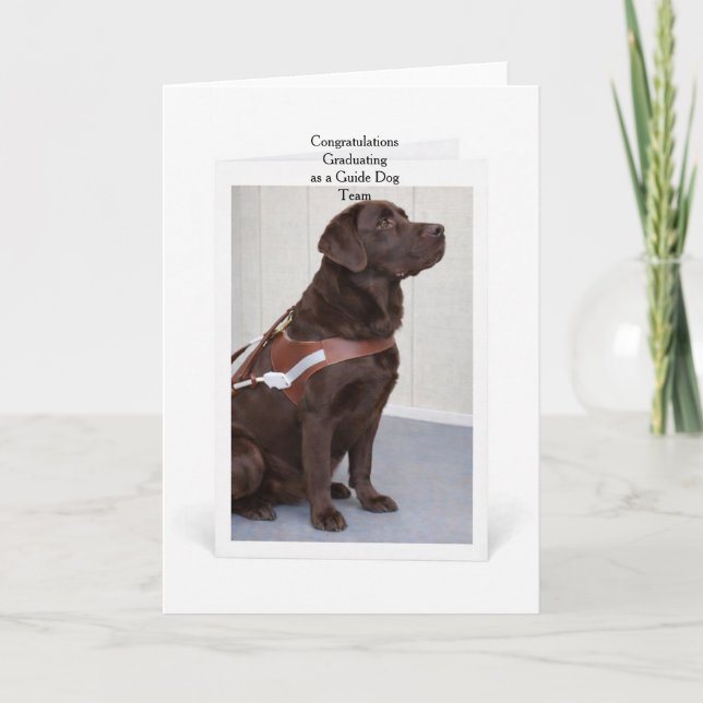 Cartão Chocolate Labrador Guide Dog Graduation (Frente)