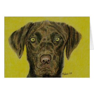 Cartão Chocolate Labrador - Hershey