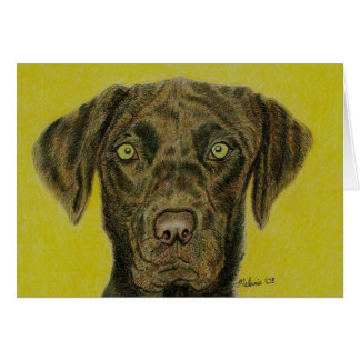 Cartão Chocolate Labrador - Hershey