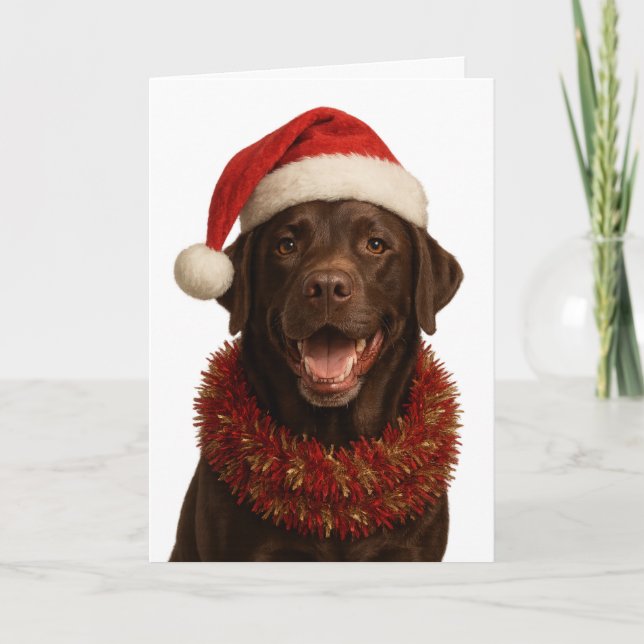 Cartão Chocolate Labrador Retriever Dog Christmas card (Frente)