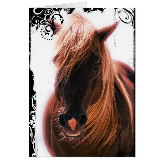 Cartão Chocolate Palomino Horse (Frente)