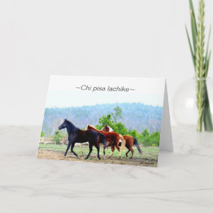 Cartão Choctaw Greeting Cards (Chi pisa lachike)