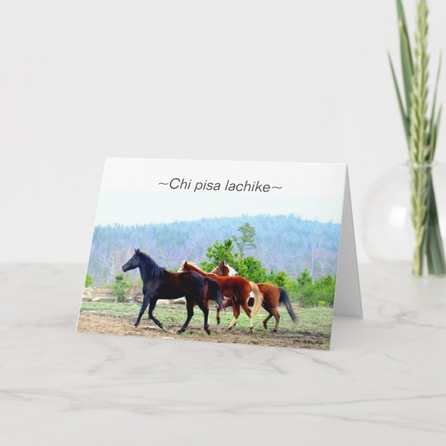 Cartão Choctaw Greeting Cards (Chi pisa lachike) (Frente)