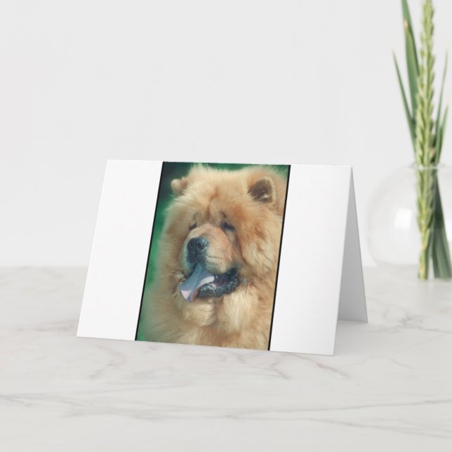 Cartão Chow Chow (Frente)