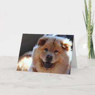 Cartão Chow Chow Dog Greeting Card