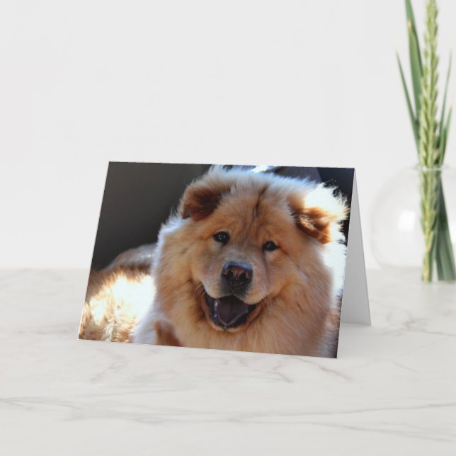 Cartão Chow Chow Dog Greeting Card (Frente)