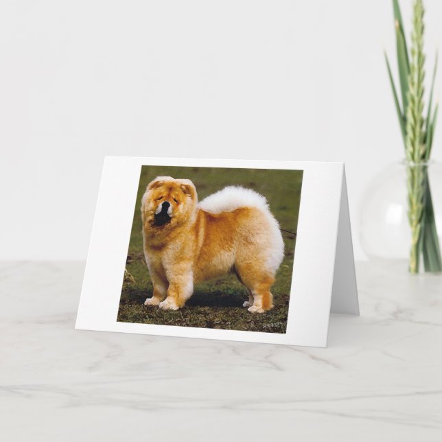 Cartão Chow Chow Dog Portrait Blank Greeting Card (Frente)