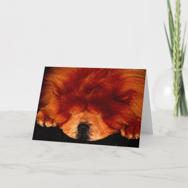 Cartão Chow Chow Gcna (Frente)