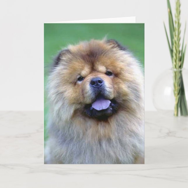 Cartão Chow Chow note cards (Frente)