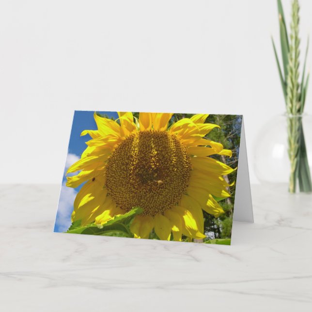 Cartão Christian Sunflower Birthday Card (Frente)