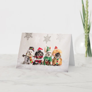 Cartão Christmas Card