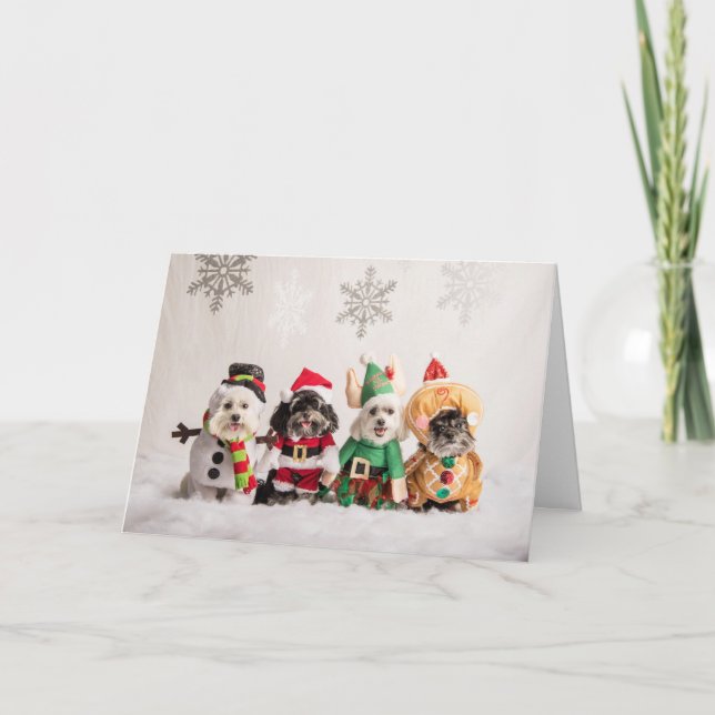 Cartão Christmas Card (Frente)