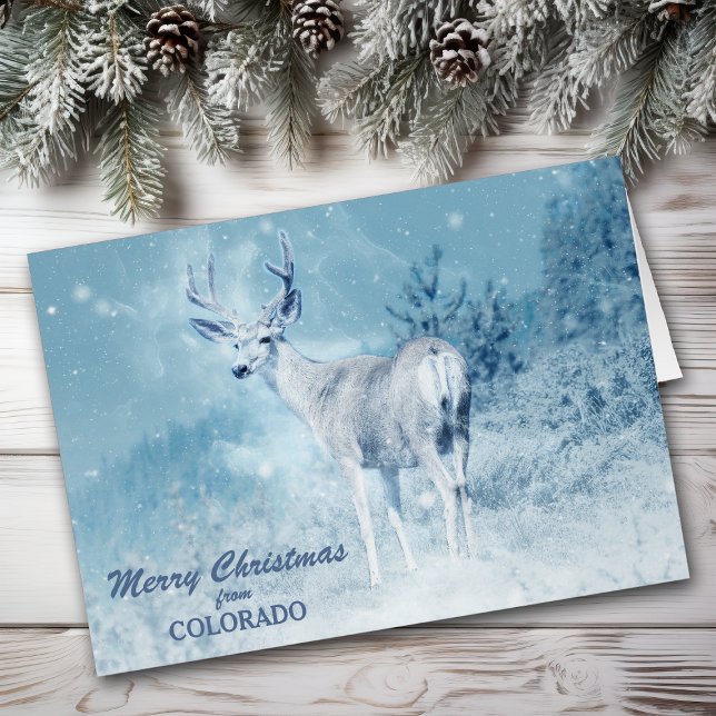 Cartão Christmas from Colorado Deer Christmas Card (Criador carregado)
