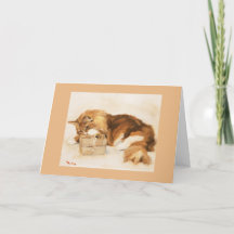 Christmas - Mitch's Gift