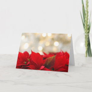 Cartão Christmas Poinsettia