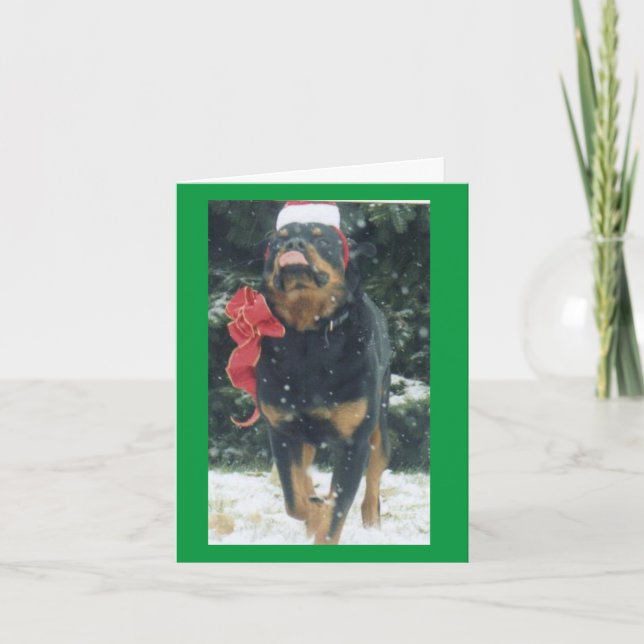Cartão christmas rottweiler w/ santa hat scarf in snow (Frente)