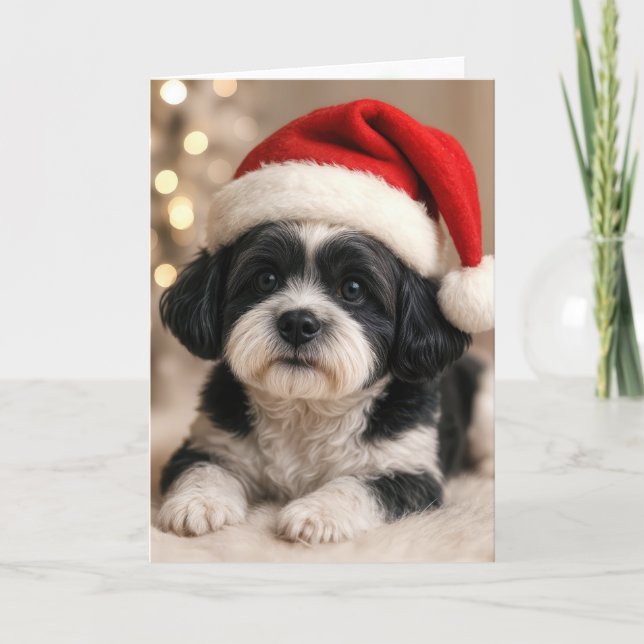 Cartão Christmas Shih Tzu Dog With Santa Hat (Frente)