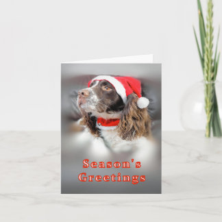 Cartão Christmas Springer Spaniel