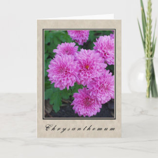 Cartão Chrysanthemum - Série Floral