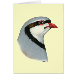 Cartão Chukar: Cabeça de Partucho
