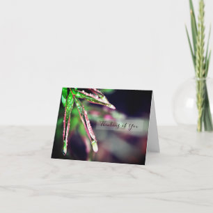 Cartão Chuva gotas na folha pensando em você