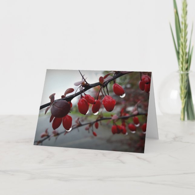 Cartão Chuva no galho (Frente)