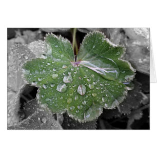 Cartão chuva pesada