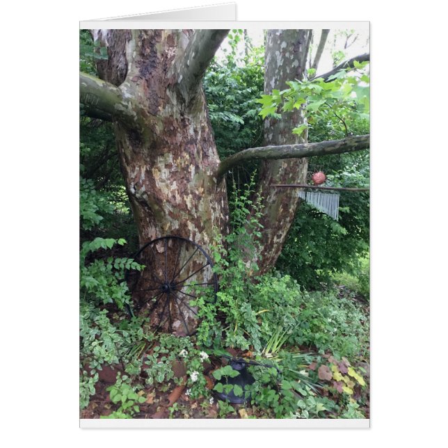 Cartão Chuva suave no verão (Frente)