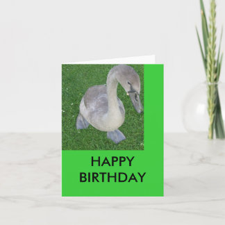 Cartão ciberredes em terra, FELIZ ANIVERSÁRIO