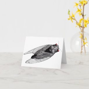 Cartão Cicada