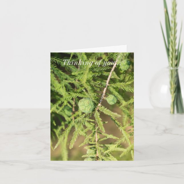 Cartão Ciclomopropulsor Bald Cone Pensando Em Você (Frente)