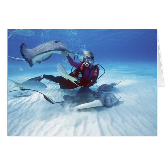 Cartão Cidade Stingray, Grand Cayman, Ilhas Cayman, (Frente Horizontal)