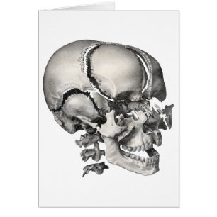 Cartão Ciência Vintage Anatomia Humana, Crânio Antigo