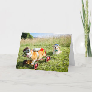 Cartão Cientista Corgis em uma saudação ao vazio Hill