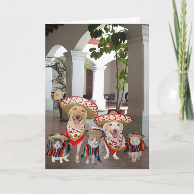 Cartão Cinco de Mayo personalizáveis (Frente)