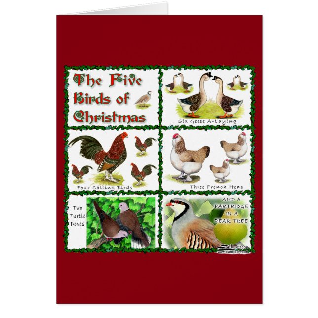 Cartão Cinco Pássaros do Natal (Frente)