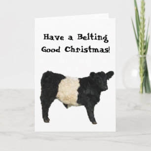 Cartão Cinto Bom Natal Belted Galloway Beltie Vaca