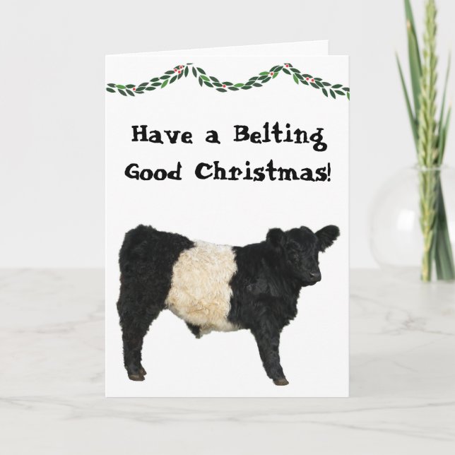 Cartão Cinto Bom Natal Belted Galloway Vaca Beltie (Frente)