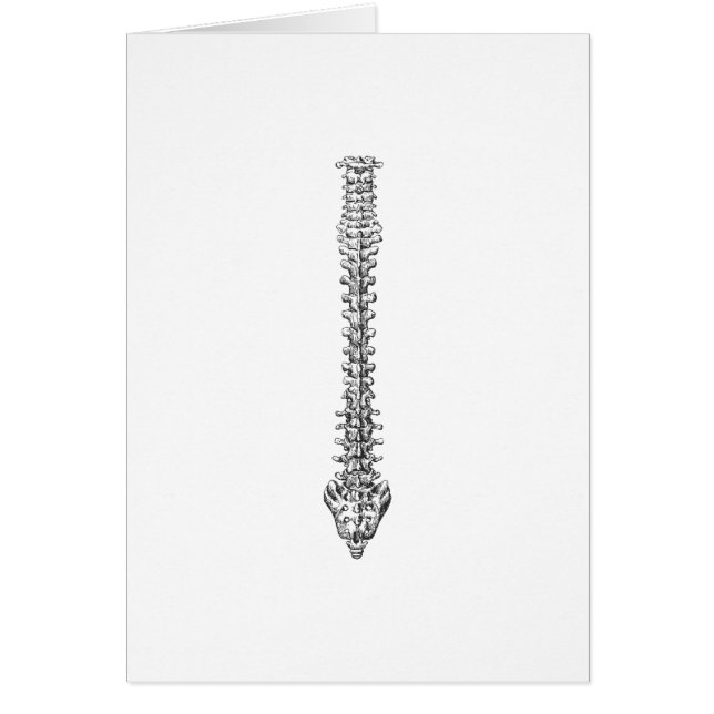 Cartão Cinza da espinha (Frente)