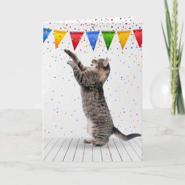 Cartão Cinza De Aniversário Por Gato Em Confetti (Frente)