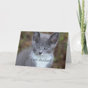 Cartão Cinza Gato Morreu Aniversário