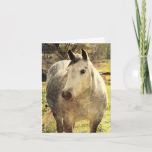 Cartão Cinza Horse Birthday