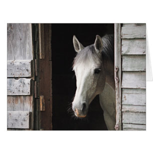 Cartão Cinza Mare Horse